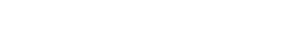 REV Immobilien